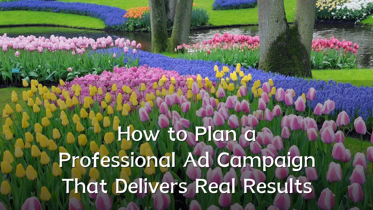 How to Plan a Professional Ad Campaign That Delivers Real Results