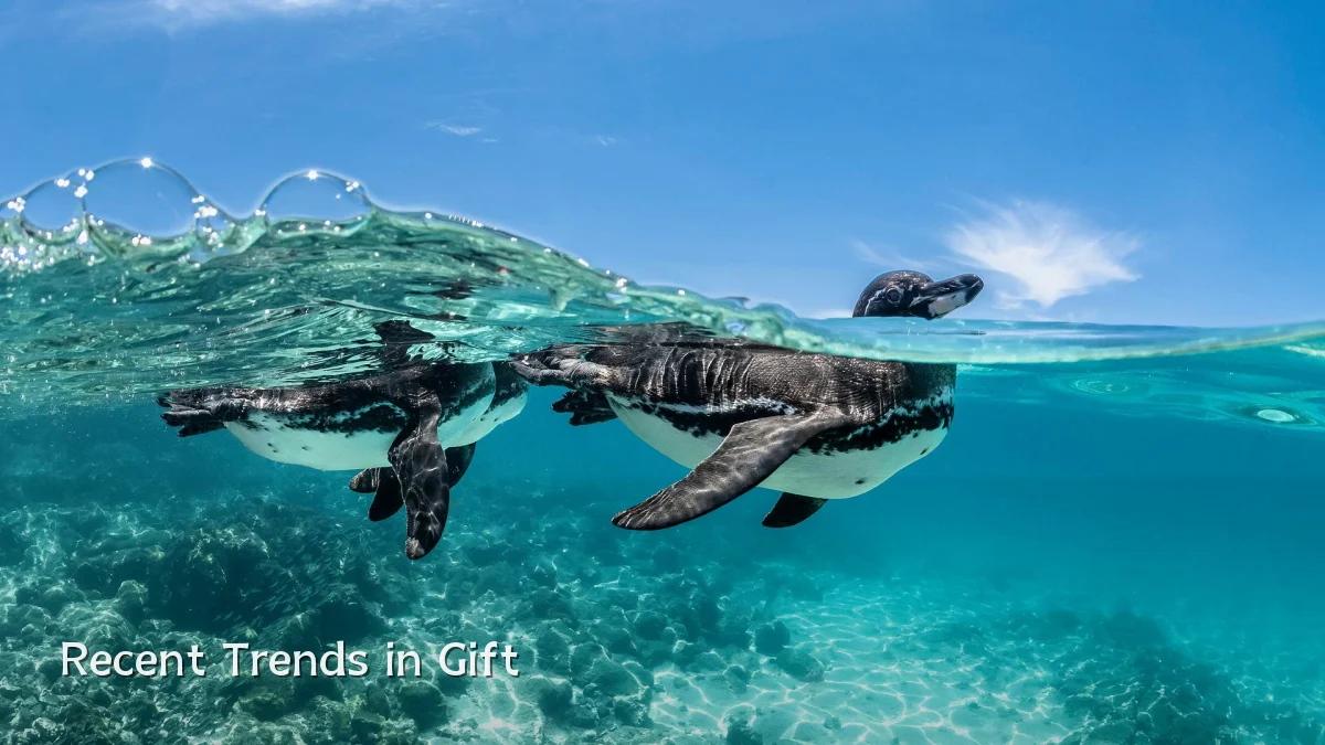 Recent Trends in Gift
