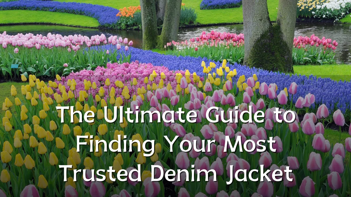 The Ultimate Guide to Finding Your Most Trusted Denim Jacket