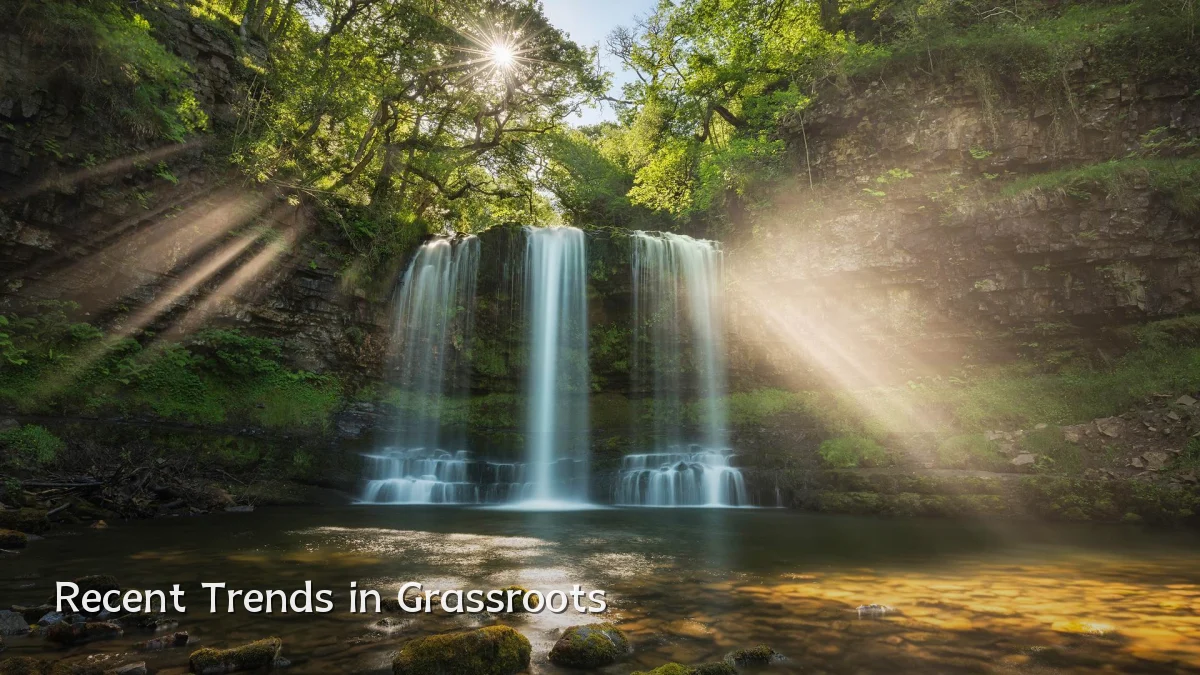 Recent Trends in Grassroots