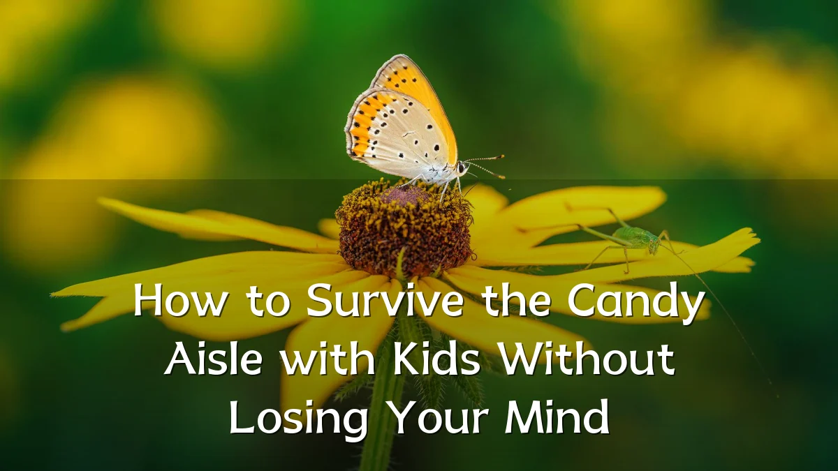 How to Survive the Candy Aisle with Kids Without Losing Your Mind