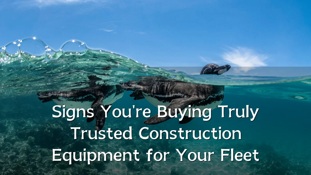 Signs You're Buying Truly Trusted Construction Equipment for Your Fleet