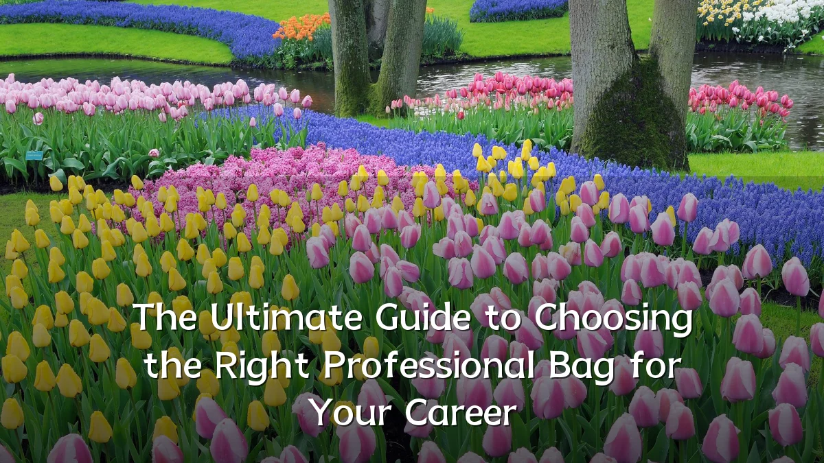 The Ultimate Guide to Choosing the Right Professional Bag for Your Career