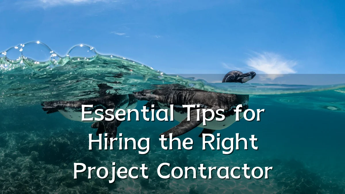 Essential Tips for Hiring the Right Project Contractor