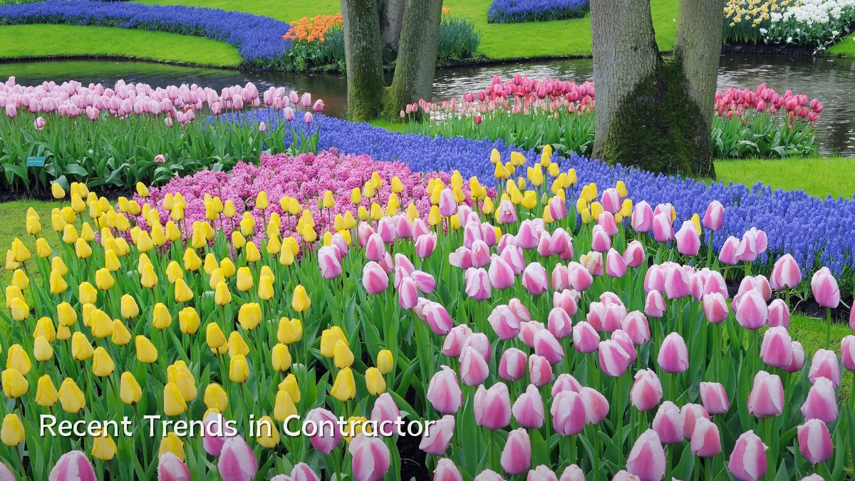 Recent Trends in Contractor