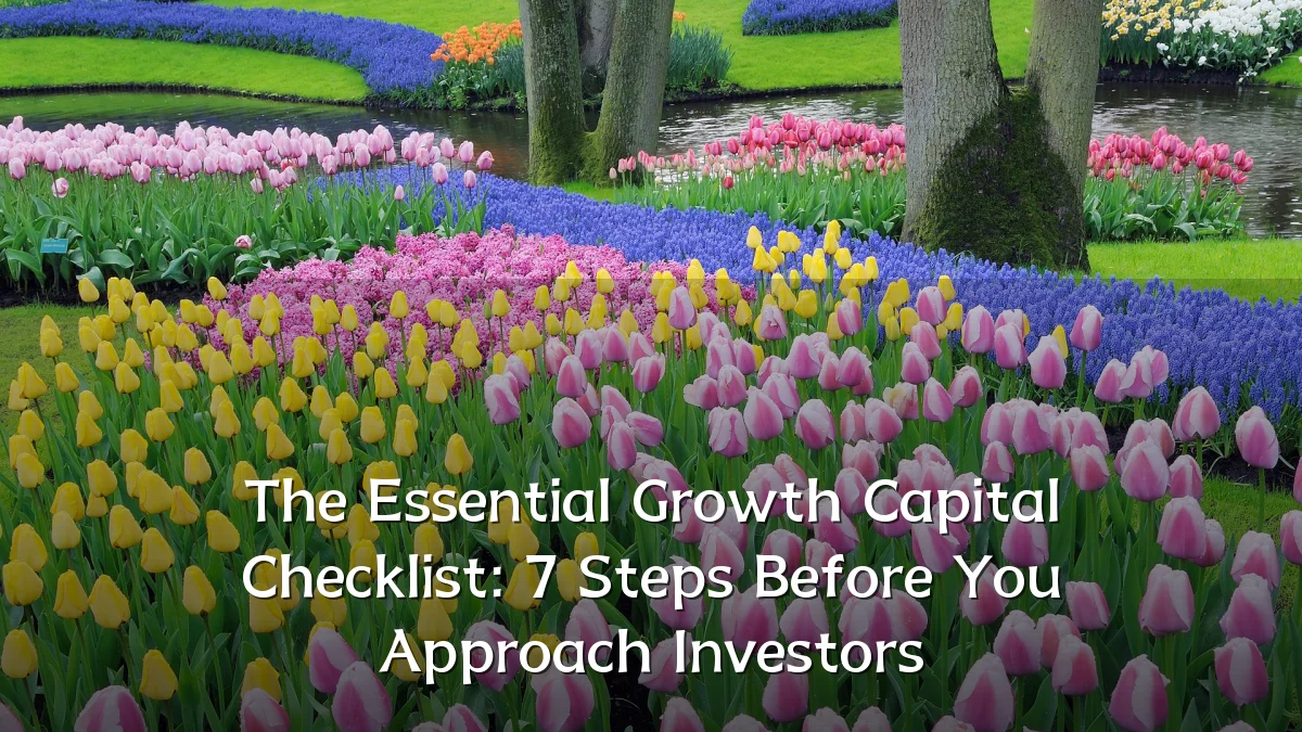 The Essential Growth Capital Checklist: 7 Steps Before You Approach Investors