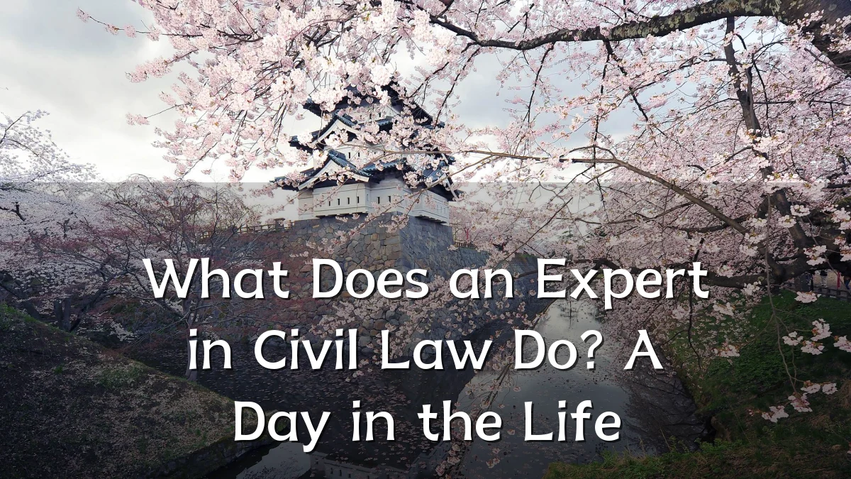 What Does an Expert in Civil Law Do? A Day in the Life