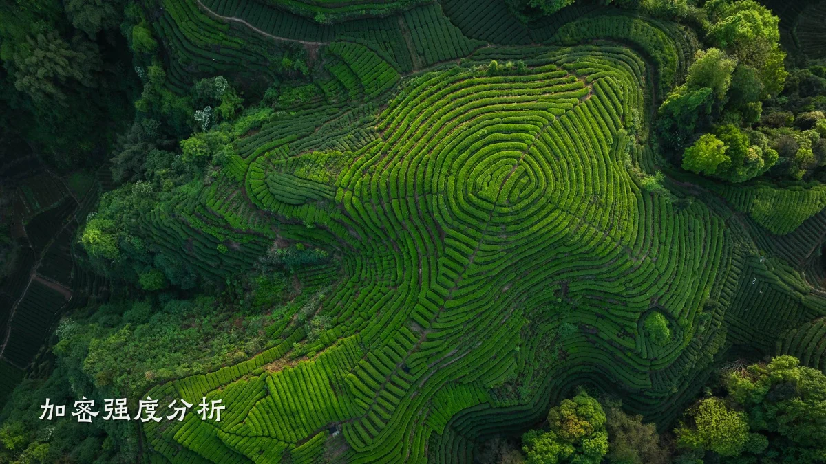 加密强度分析